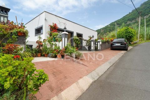 Villa i Ponta Delgada, Madeira, Ponta Delgada - € 485.000 | Ref: 1700 - foto 13