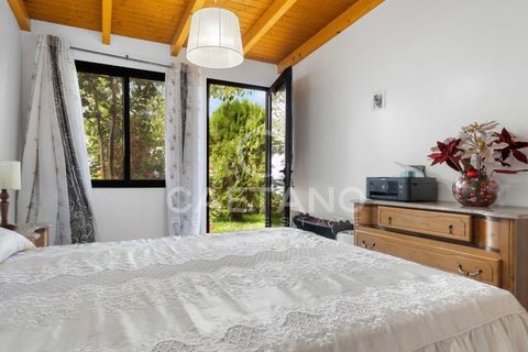 Villa i Ponta Delgada, Madeira, Ponta Delgada - € 485.000 | Ref: 1700 - foto 29