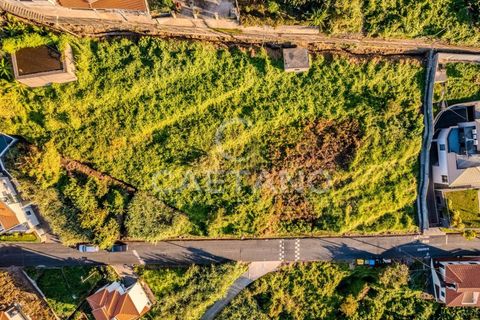 Villa i Ribeira Brava, Madeira, Ribeira Brava - € 1.500.000 | Ref: 1144 - foto 4