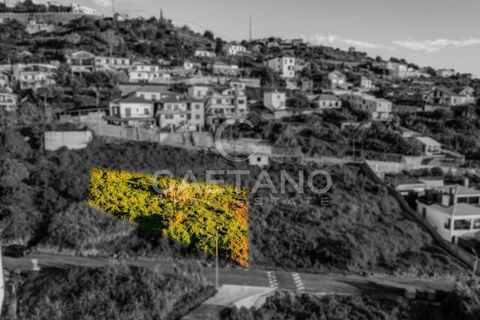 Villa i Ribeira Brava, Madeira, Ribeira Brava - € 1.500.000 | Ref: 1144 - foto 5