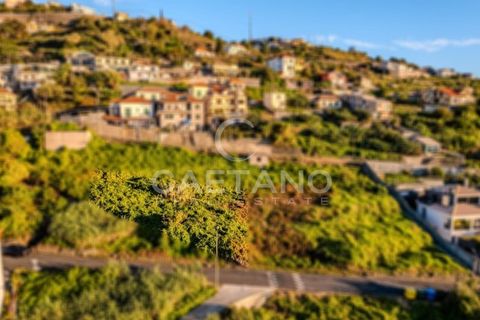 Villa i Ribeira Brava, Madeira, Ribeira Brava - € 1.500.000 | Ref: 1144 - foto 6