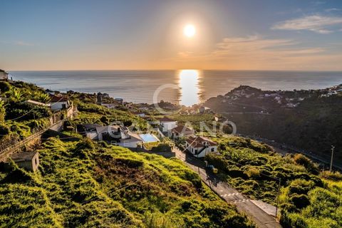Villa i Ribeira Brava, Madeira, Ribeira Brava - € 1.500.000 | Ref: 1144 - foto 8