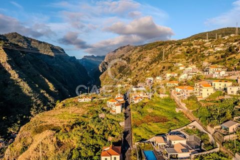 Villa i Ribeira Brava, Madeira, Ribeira Brava - € 1.500.000 | Ref: 1144 - foto 10
