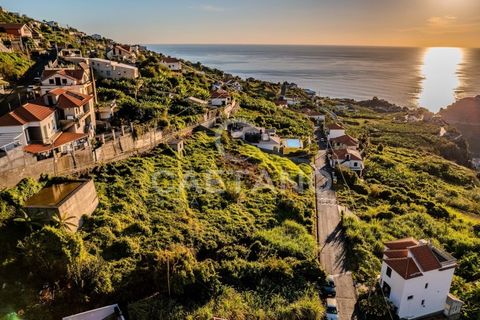 Villa i Ribeira Brava, Madeira, Ribeira Brava - € 1.500.000 | Ref: 1144 - foto 12
