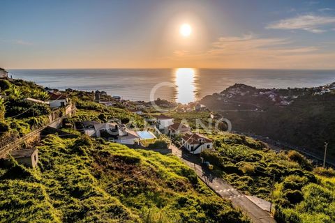 Villa i Ribeira Brava, Madeira, Ribeira Brava - € 1.500.000 | Ref: 1144 - foto 13
