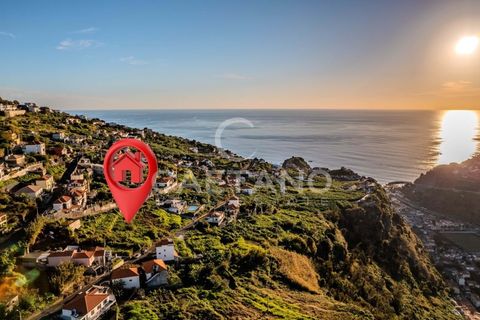 Villa i Ribeira Brava, Madeira, Ribeira Brava - € 1.500.000 | Ref: 1144 - foto 15