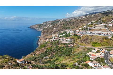 Villa i Ribeira Brava, Madeira, Ribeira Brava - € 1.750.000 | Ref: 1448 - foto 2