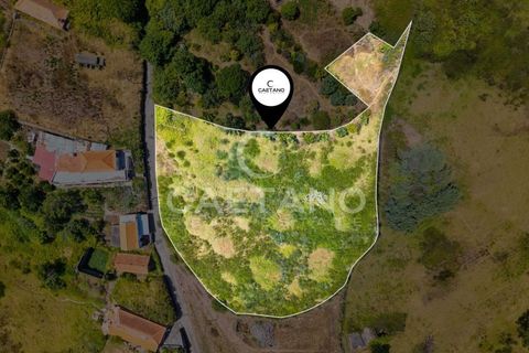 Tomt i Calheta, Madeira, Calheta - € 380 000 | Ref: 1684 - foto 4