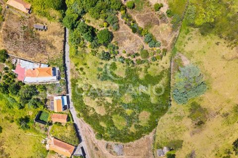 Tomt i Calheta, Madeira, Calheta - € 380 000 | Ref: 1684 - foto 5