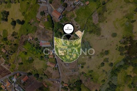 Tomt i Calheta, Madeira, Calheta - € 380 000 | Ref: 1684 - foto 6