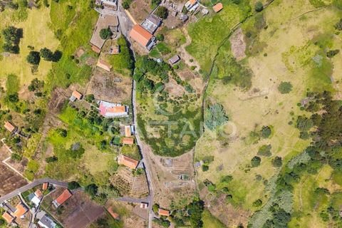 Tomt i Calheta, Madeira, Calheta - € 380 000 | Ref: 1684 - foto 7