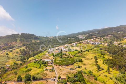 Tomt i Calheta, Madeira, Calheta - € 380 000 | Ref: 1684 - foto 9