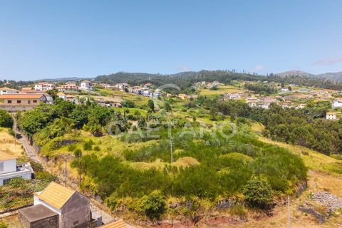 Tomt i Calheta, Madeira, Calheta - € 380 000 | Ref: 1684 - foto 21
