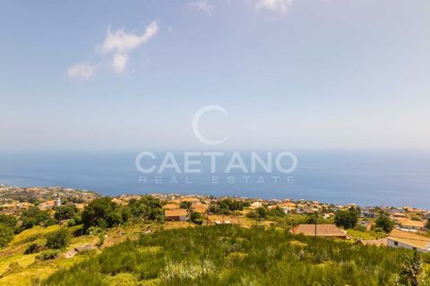 Tomt i Calheta, Madeira, Calheta - € 380 000 | Ref: 1684 - foto 22