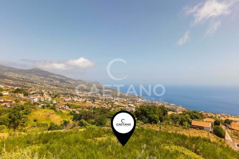 Tomt i Calheta, Madeira, Calheta - € 380 000 | Ref: 1684 - foto 25