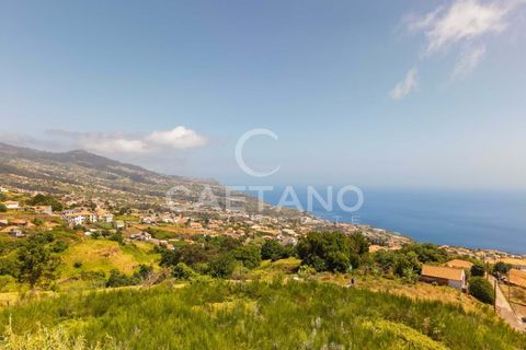 Tomt i Calheta, Madeira, Calheta - € 380 000 | Ref: 1684 - foto 26