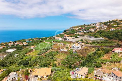 Grond in Ponta do Sol, Madeira, Ponta do Sol - € 95.500 | Ref: 1709 - foto 6
