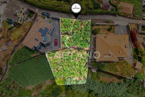 Grond in Ponta do Sol, Madeira, Ponta do Sol - € 95.500 | Ref: 1709 - foto 13