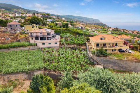Grond in Ponta do Sol, Madeira, Ponta do Sol - € 95.500 | Ref: 1709 - foto 15