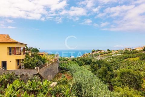 Grond in Ponta do Sol, Madeira, Ponta do Sol - € 95.500 | Ref: 1709 - foto 16