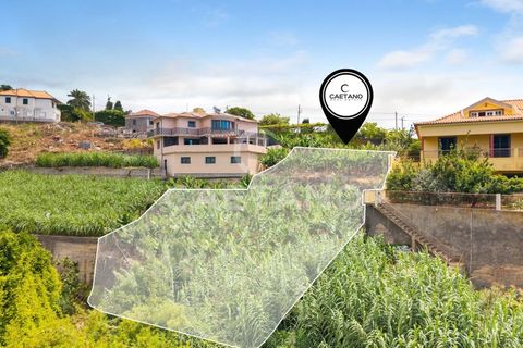 Grond in Ponta do Sol, Madeira, Ponta do Sol - € 95.500 | Ref: 1709 - foto 17