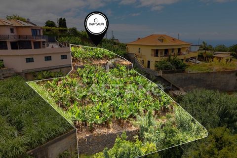 Grond in Ponta do Sol, Madeira, Ponta do Sol - € 95.500 | Ref: 1709 - foto 19