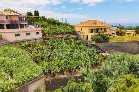 Grond in Ponta do Sol, Madeira, Ponta do Sol - € 95.500 | Ref: 1709 - foto 20