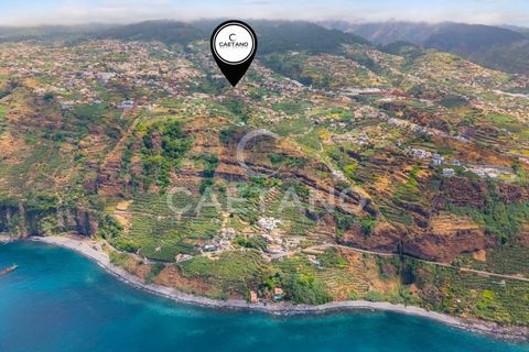 Grond in Ponta do Sol, Madeira, Ponta do Sol - € 95.500 | Ref: 1709 - foto 23