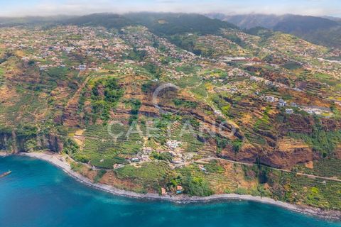 Grond in Ponta do Sol, Madeira, Ponta do Sol - € 95.500 | Ref: 1709 - foto 24