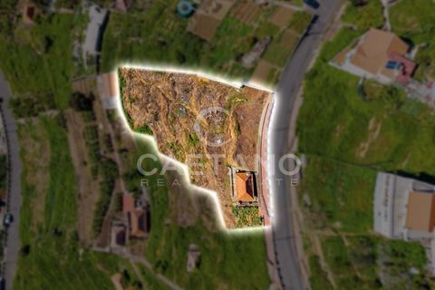 Villa i Ribeira Brava, Madeira, Ribeira Brava - € 495.000 | Ref: 1532 - foto 3
