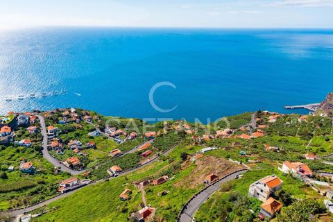 Villa i Ribeira Brava, Madeira, Ribeira Brava - € 495.000 | Ref: 1532 - foto 4