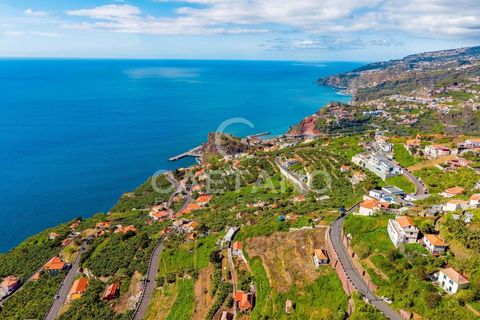 Villa i Ribeira Brava, Madeira, Ribeira Brava - € 495.000 | Ref: 1532 - foto 5