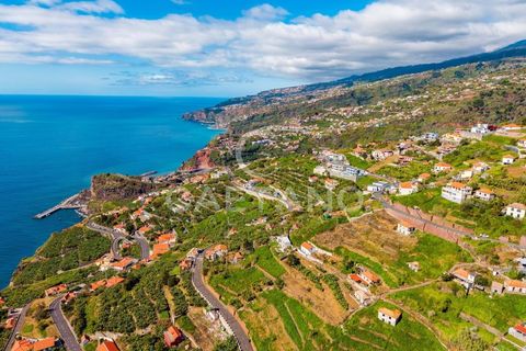 Villa i Ribeira Brava, Madeira, Ribeira Brava - € 495.000 | Ref: 1532 - foto 6