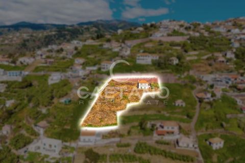 Villa i Ribeira Brava, Madeira, Ribeira Brava - € 495.000 | Ref: 1532 - foto 7