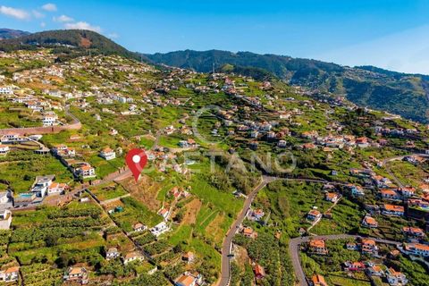 Villa i Ribeira Brava, Madeira, Ribeira Brava - € 495.000 | Ref: 1532 - foto 8