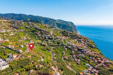 Villa i Ribeira Brava, Madeira, Ribeira Brava - € 495.000 | Ref: 1532 - foto 9