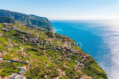 Villa i Ribeira Brava, Madeira, Ribeira Brava - € 495.000 | Ref: 1532 - foto 10
