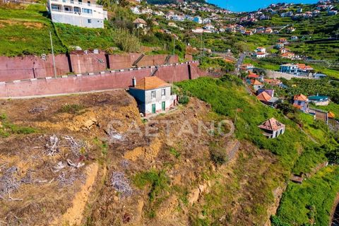 Villa i Ribeira Brava, Madeira, Ribeira Brava - € 495.000 | Ref: 1532 - foto 11