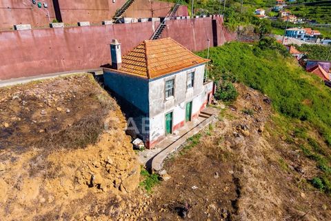 Villa i Ribeira Brava, Madeira, Ribeira Brava - € 495.000 | Ref: 1532 - foto 12
