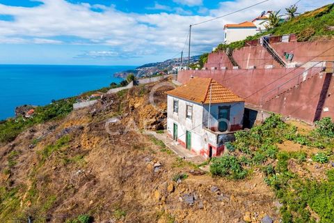 Villa i Ribeira Brava, Madeira, Ribeira Brava - € 495.000 | Ref: 1532 - foto 14
