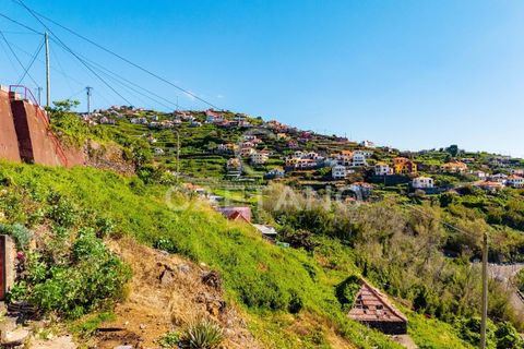 Villa i Ribeira Brava, Madeira, Ribeira Brava - € 495.000 | Ref: 1532 - foto 15