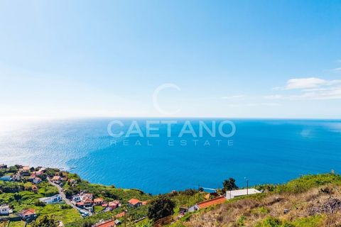 Villa i Ribeira Brava, Madeira, Ribeira Brava - € 495.000 | Ref: 1532 - foto 16