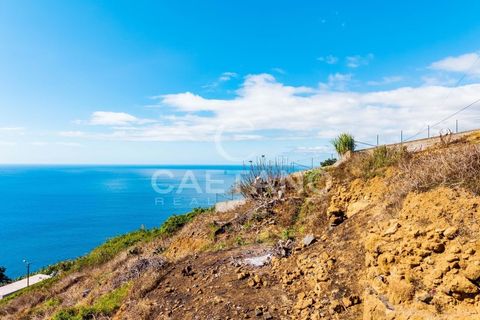 Villa i Ribeira Brava, Madeira, Ribeira Brava - € 495.000 | Ref: 1532 - foto 17