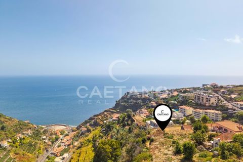 Terra a Calheta, Madeira, Calheta - € 650.000 | Ref: 1572 - foto 2
