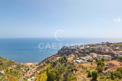 Terra a Calheta, Madeira, Calheta - € 650.000 | Ref: 1572 - foto 3
