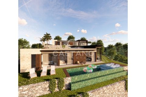 Terra a Calheta, Madeira, Calheta - € 650.000 | Ref: 1572 - foto 6