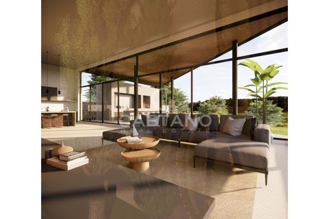 Terra a Calheta, Madeira, Calheta - € 650.000 | Ref: 1572 - foto 11