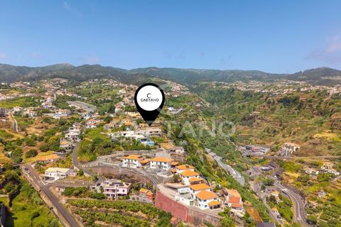 Terra a Calheta, Madeira, Calheta - € 650.000 | Ref: 1572 - foto 21
