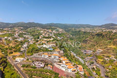 Terra a Calheta, Madeira, Calheta - € 650.000 | Ref: 1572 - foto 22