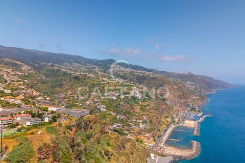 Terra a Calheta, Madeira, Calheta - € 650.000 | Ref: 1572 - foto 23